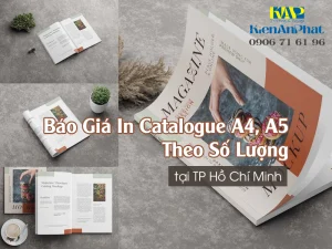 Báo Giá In Catalogue A4, A5 Theo Số Lượng & Khổ Giấy Phổ Biến