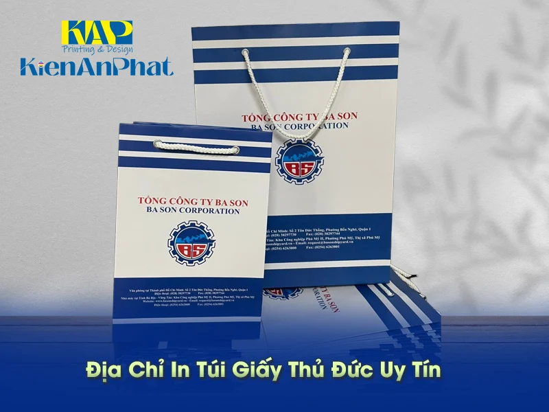 Địa Chỉ In Túi Giấy Thủ Đức Uy Tín – Sự Khác Biệt Tạo Nên Giá Trị Thương Hiệu