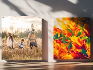 Mẫu tranh Canvas treo tường đẹp