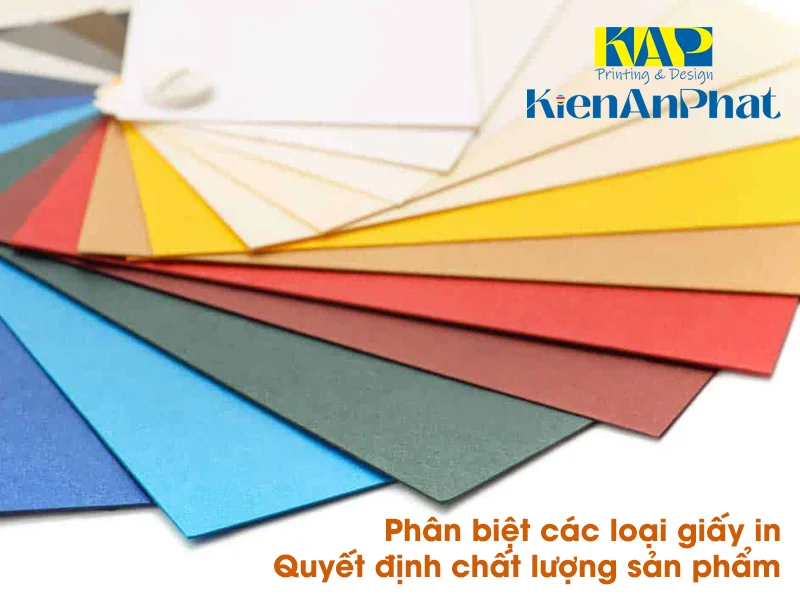Phân biệt các loại giấy in quyết định chất lượng sản phẩm