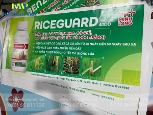 Sản phẩm In Bạt Hiflex Khổ Lớn tại Kiến An Phát