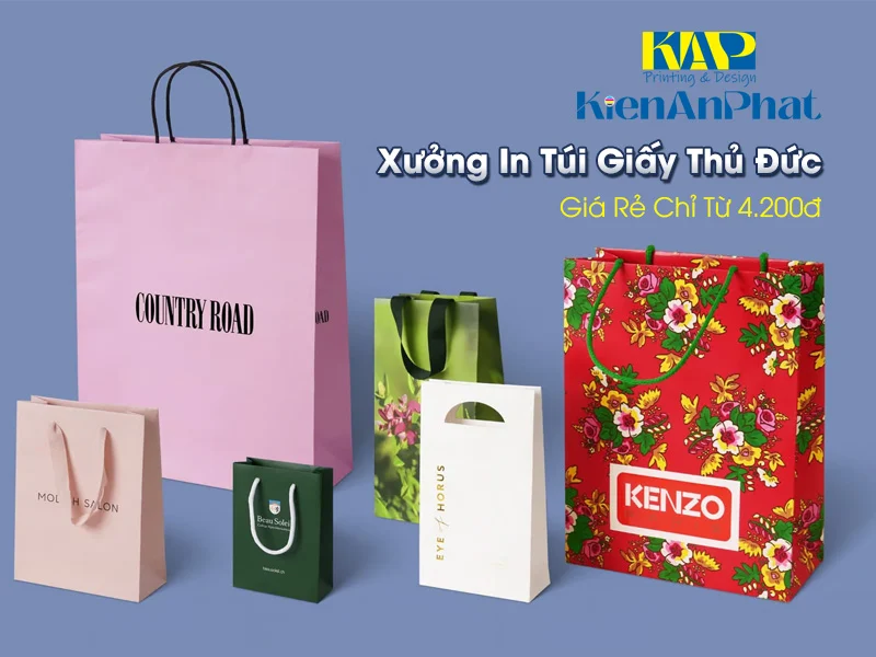Xưởng In Túi Giấy Thủ Đức Giá Rẻ Chỉ Từ 4.200đ - Uy Tín Hàng Đầu