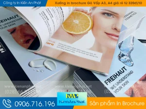 Xưởng in brochure Gò Vấp A3, A4 giá rẻ từ 320đ/tờ
